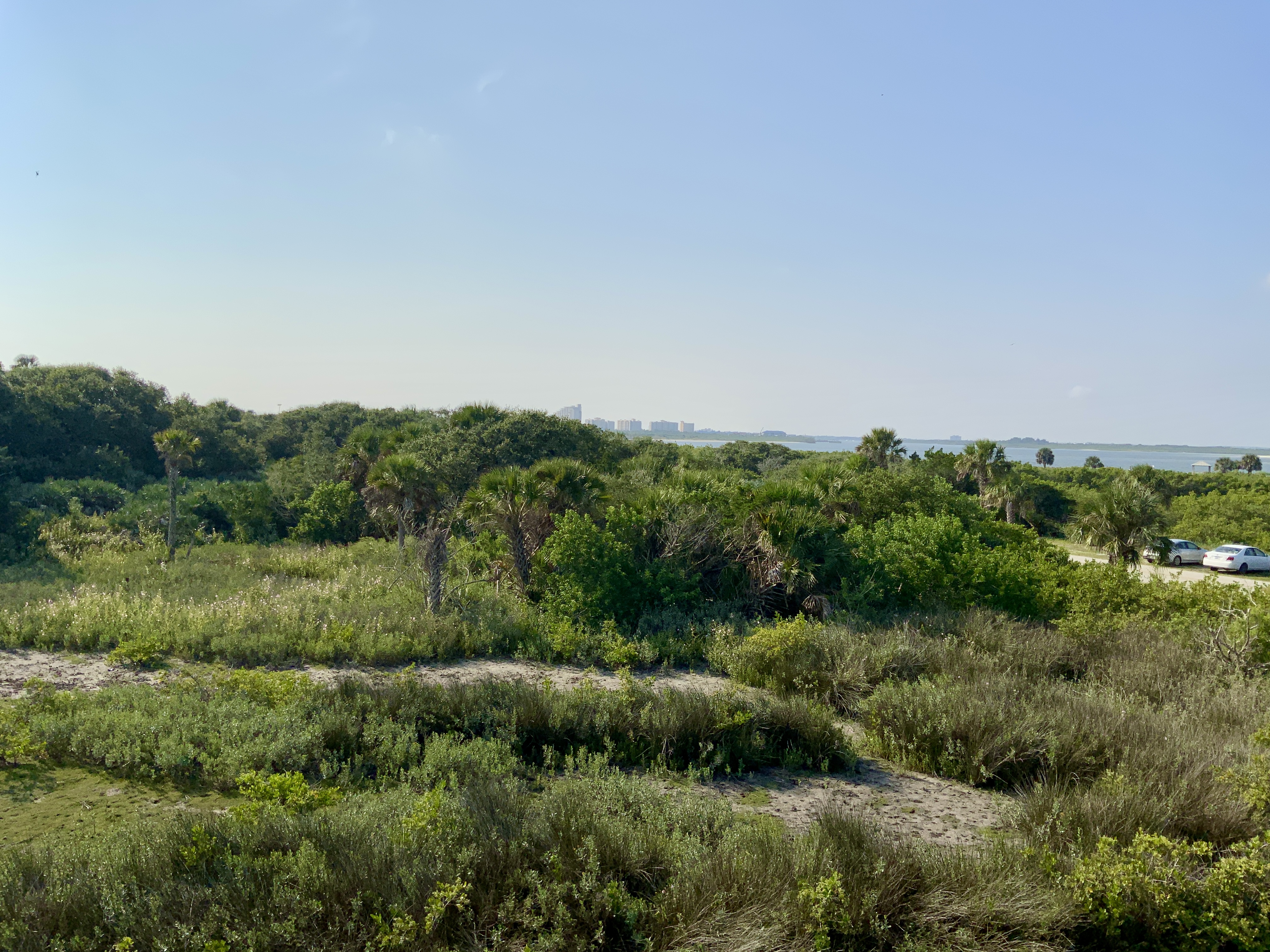 view from observation tower
