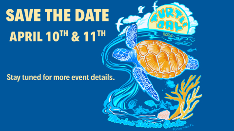 Turtle Day at the Marine Science Center