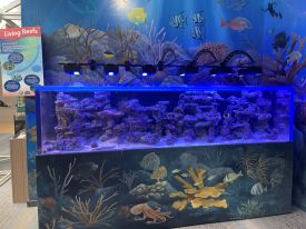 Marine Science Center living reef exhibit with water, corals and fish